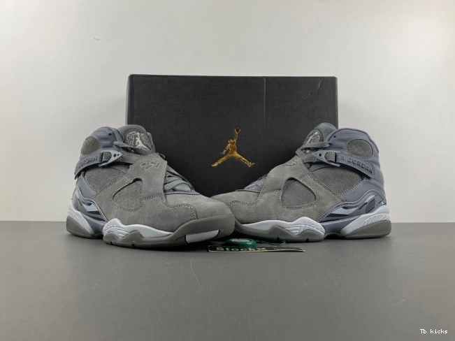 Cheap TBK 305381-014 8 Jordan Grey Retro Cool 0815